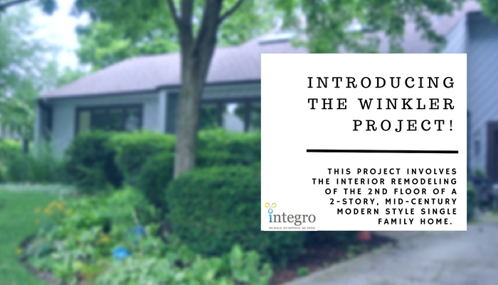 Integro - Winkler Project